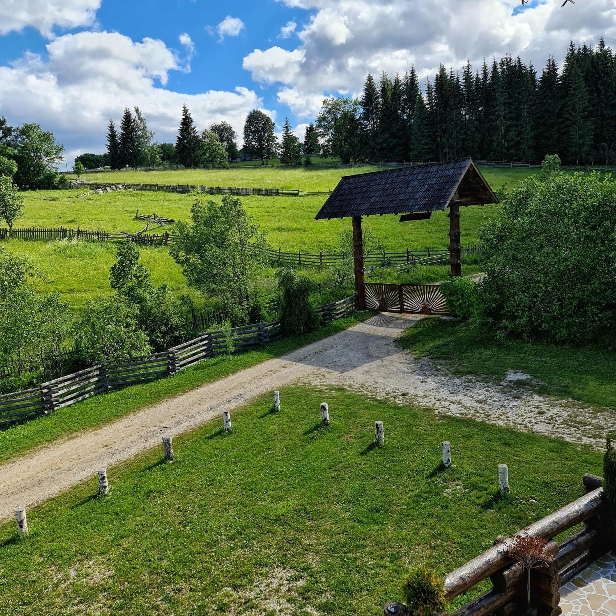 Pensiunea Agroturistica Casa Brazilor Sarisoru Mare 部屋 写真